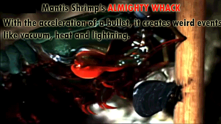 37 Everyday Things That Look Insane in Slow Motion