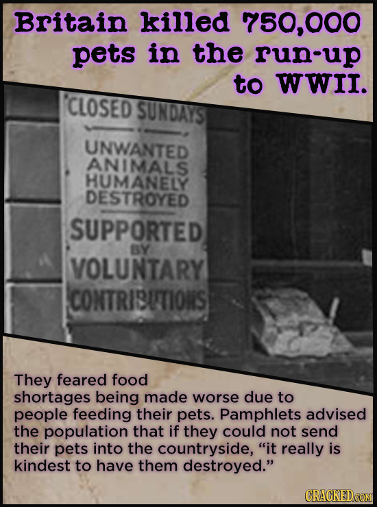 Britain killed 750,000 pets in the run-up to WWII. 'CLOSED SUNDAYST UNWANTED ANIMALS HUMANELY DESTROYED SUPPORTED BY VOLUNTARY CONTRISUTIONS They fear