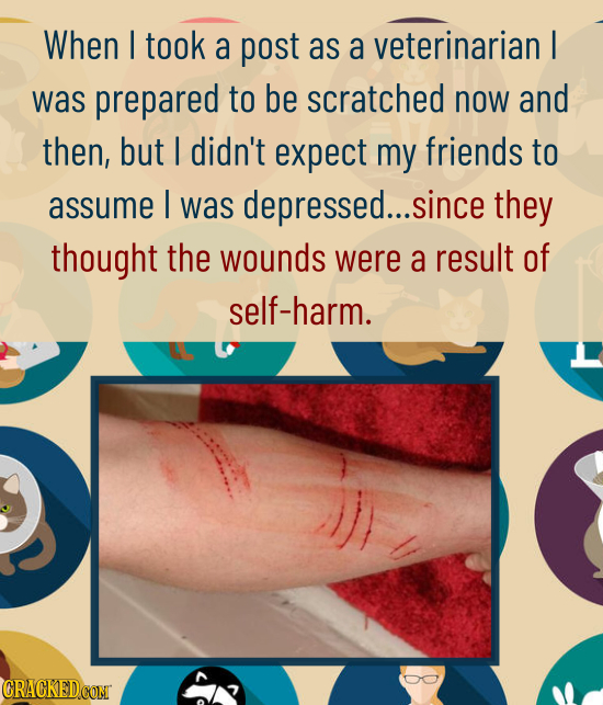 When I took a post as a veterinarian I was prepared to be scratched now and then, but I didn't expect my friends to assume I was depressed.... since t