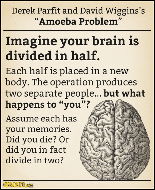 Derek Parfit and David Wiggins's Amoeba Problem Imagine your brain is divided in half. Each half is placed in a new body. The operation produces two