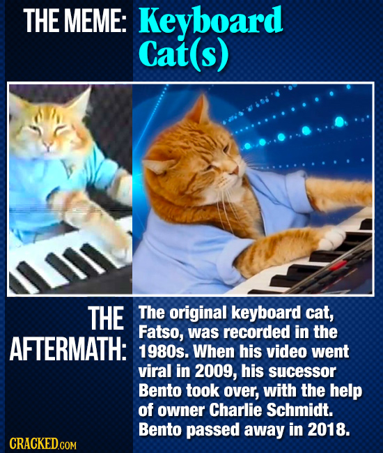 20 Big-Deal Internet Memes, And Where They Are Today