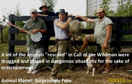 A lot of the animals rescued in Call of the Wildman were drugged and placed in dangerous situations for the sake of entertainment. Animal Planet: Su