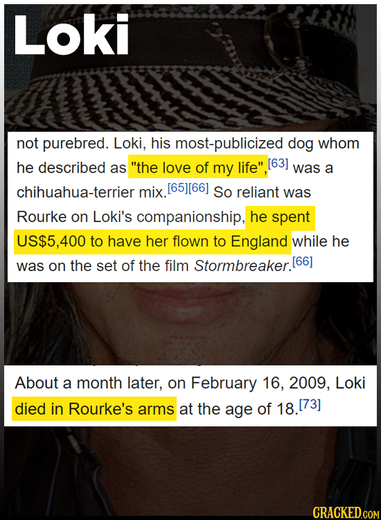 Loki not purebred. Loki, his most-publicized dog whom he described as the love of my life was a chihuahua-terrier mix. So reliant was