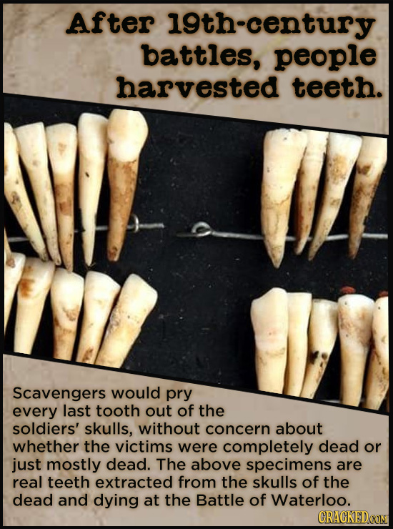 After 19th-century battles, people harvested teeth. Scavengers would pry every last tooth out of the soldiers' skulls, without concern about whether t