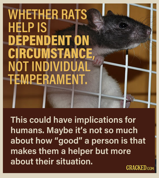 WHETHER RATS HELP IS DEPENDENT ON CIRCUMSTANCE, NOT INDIVIDUAL TEMPERAMENT. This could have implications for humans. Maybe it's not so much about how