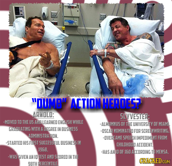 DUMB ATION HEROES? ARHOLD: 5LVVESTER -MOVED TO THE U5 SLLEARNED ENGLISH WHILE -ALMUMNUS OF THE UNIVERSITY OF MIAM. GRAOJATING WITH A ERGREE IN BUSNE