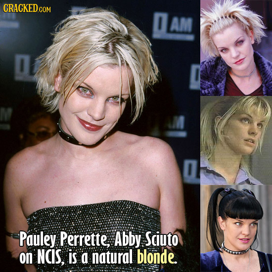 CRACKEDcO COM AM Pauley Perrette, Abby Sciuto on NCIS, is a natural blonde. 