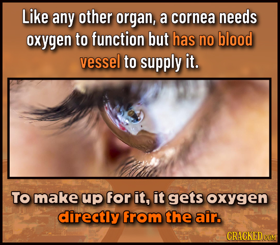Like any other organ, a cornea needs oxygen to function but has no blood vessel to supply it. TO make up for it, it gets oxygen directly from the air.