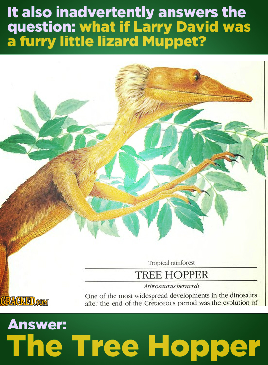 It also inadvertently answers the question: what if Larry David was a furry little lizard Muppet? Tropical rainforest TREE HOPPER Arbrosaurus hernardi
