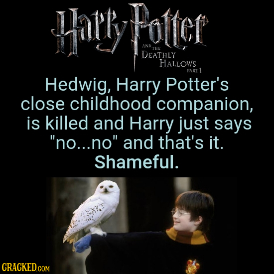 Harly Potter AND ANDTHE THE DEATHLY HALLOWS PART1 Hedwig, Harry Potter's close childhood companion, is killed and Harry just says no... no and that'