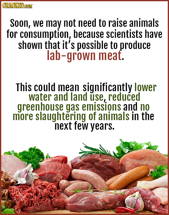 GRACKEDCON Soon, we may not need to raise animals for consumption, because scientists have shown that it's possible to produce b-grown meat. This coul