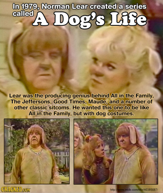 In 1979, Norman Lear created a series called A Dog's Life Lear was the producing genius behind Am in the Family, The Jeffersons, Good Times, Maude, an