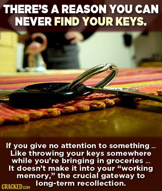 THERE'S A REASON YOU CAN NEVER FIND YOUR KEYS. If you give no attention to something ... Like throwing your keys somewhere while you're bringing in gr