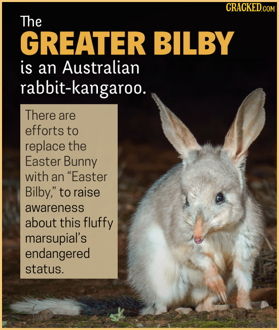 15 Creatures You'll Think (Or Wish) We Were Making Up