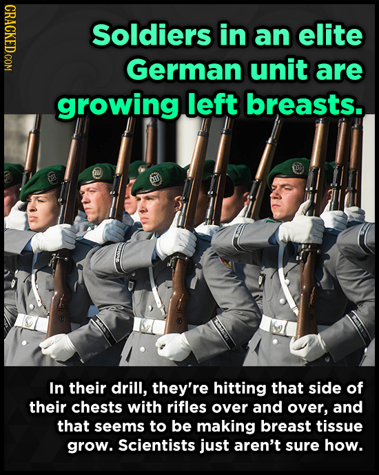 Soldiers in an elite German unit are growing left breasts. In their drill, they're hitting that side of their chests with rifles over and over, and th