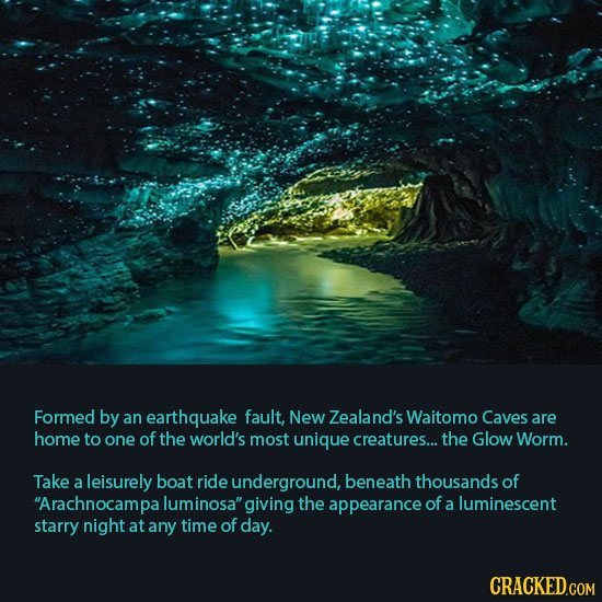 Formed by an earthquake fault, New Zealand's Waitomo Caves are home to one of the world's most unique creatures... the Glow Worm. Take a leisurely boa