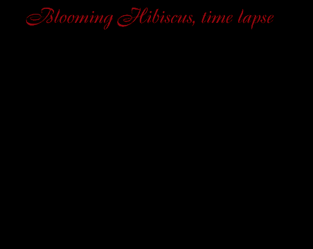 17 Insane Transformations You Have to See to Believe