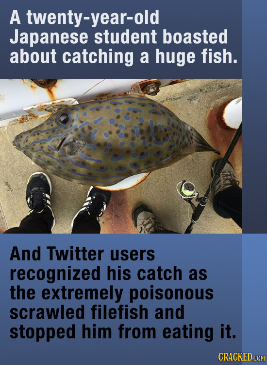 A twenty-year-old Japanese student boasted about catching a huge fish. And Twitter users recognized his catch as the extremely poisonous scrawled file