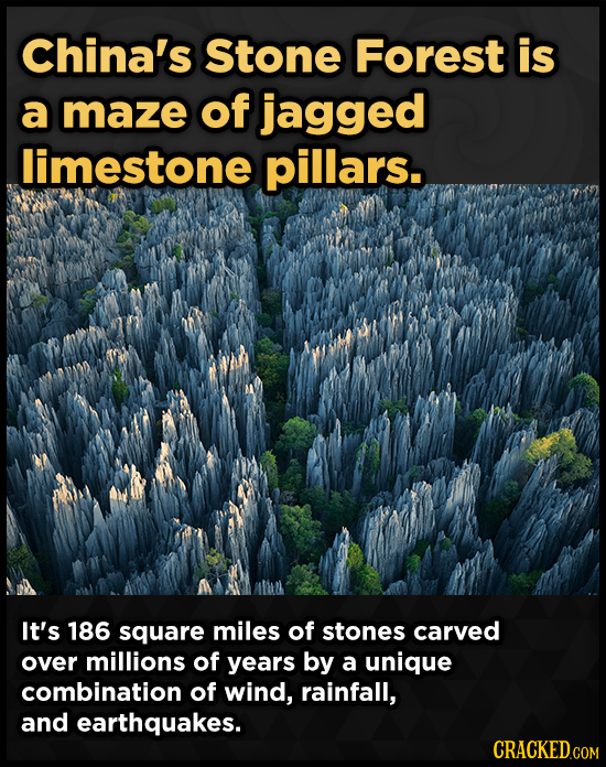 China's Stone Forest is a maze of jagged limestone pillars. It's 186 square miles of stones carved over millions of years by a unique combination of w