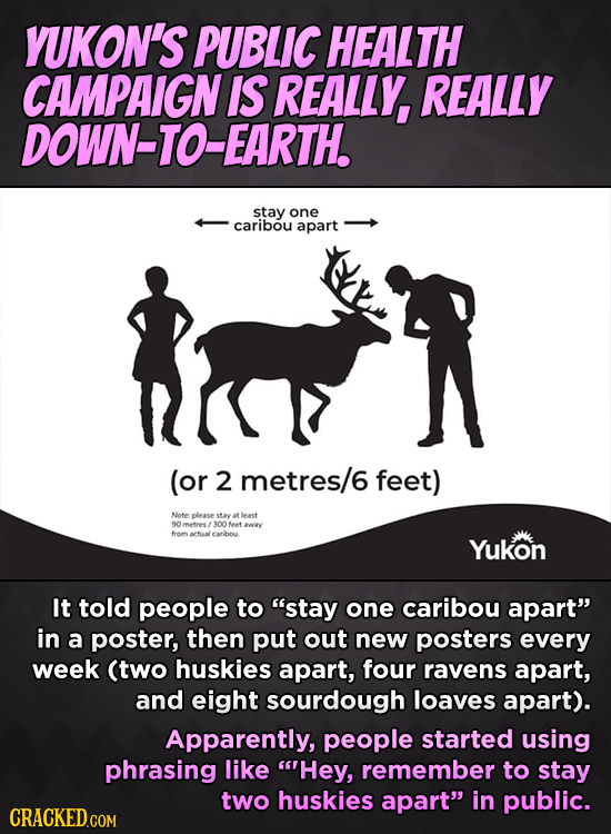 YUKON'S PUBLIC HEALTH CAMPAIGN IS REALLY, REALLY DOWN-TO-EARTH. stay one caribou apart (or 2 metres/6 feet) Note: pleasestavat least 90metres 300 feet