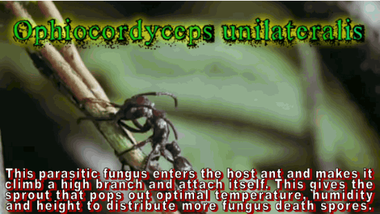 17 Insane Transformations You Have to See to Believe