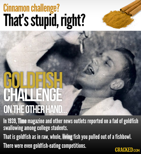 Cinnamon challenge? That's stupid, right? GOLDFISH CHALLENGE ON THE OTHER HAND... In 1939, Time magazine and other news outlets reported on a fad of g