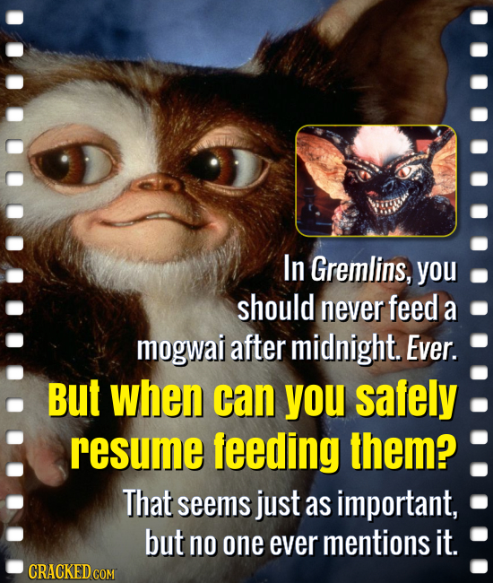 In Gremlins, you should never feed a mogwai after midnight. Ever. But when can you safely resume feeding them? That seems just as important, but no on