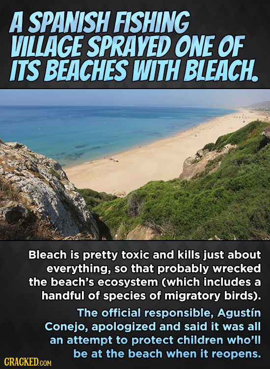 A SPANISH FISHING VILLAGE SPRAYED ONE OF ITS BEACHES WITH BLEACH. Bleach is pretty toxic and kills just about everything, so that probably wrecked the
