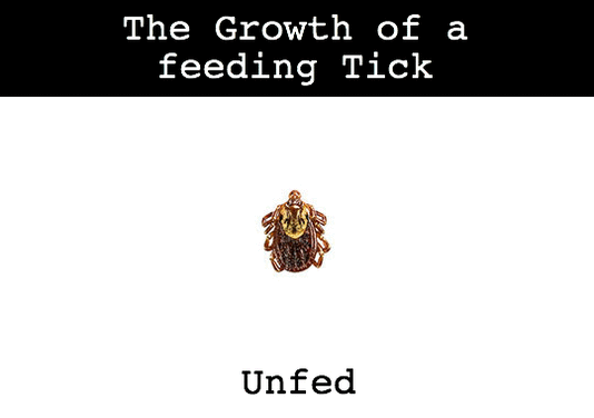 17 Insane Transformations You Have to See to Believe