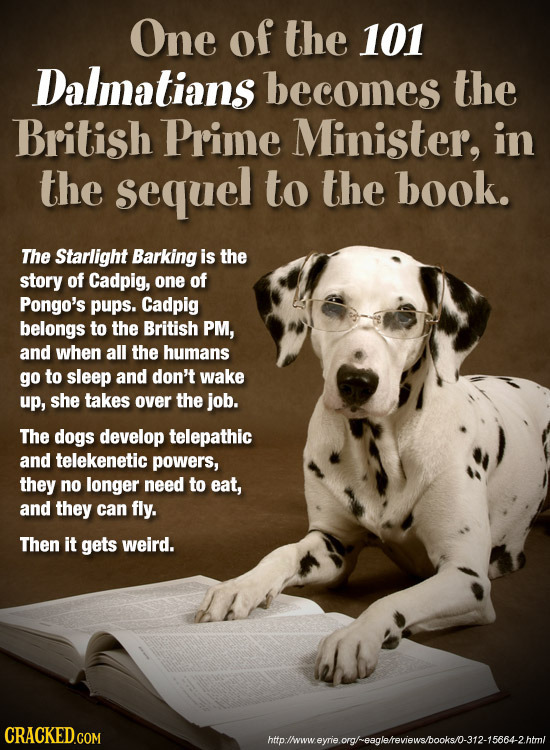 One of the 101 Dalmatians becomes the British Prime Minister, in the sequel to the book. The Starlight Barking is the story of Cadpig, one of Pongo's
