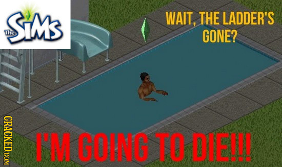 SiMS WAIT, THE LADDER'S The GONE? CRACKED COM I'M GOING TO DIE!!!