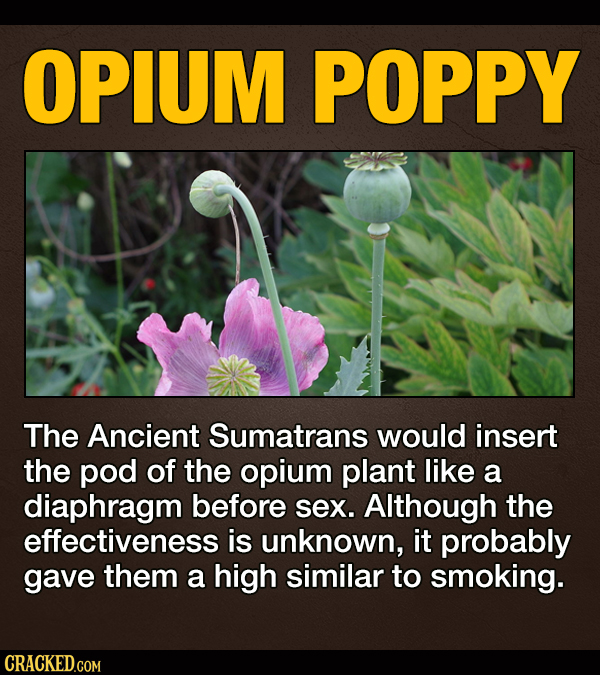 15 Historic Contraceptives We're Grateful Are In The Past