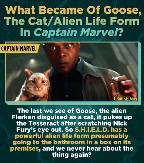 What Became Of Goose, The Cat/ Alien Life Form In Captain Marve/? CAPTAIN MARVEL CRACKEDCO The last we see of Goose, the alien Flerken disguised as a