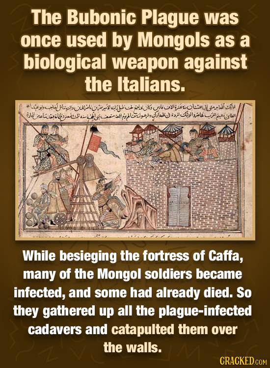 The Bubonic Plague was once used by Mongols as a biological weapon against the Italians. nfldleseiurseypoibyluimobgp.liuy While besieging the fortress