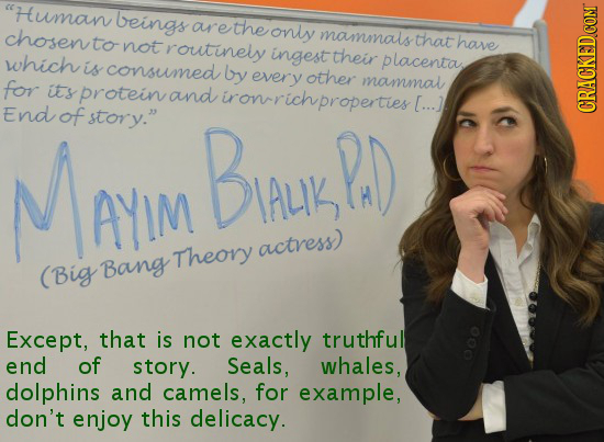 Human beings are the chosen only mammals to that not routinely have which ingest their consumed placenta is by every other for mammal itS protein and