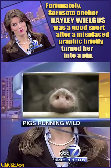 Fortunately, Sarasota anchor HAYLEY WIELGUS was a good sport after a misplaced graphic briefly obd turned her rnron into a pig. PIGS RUNNING WILD abc
