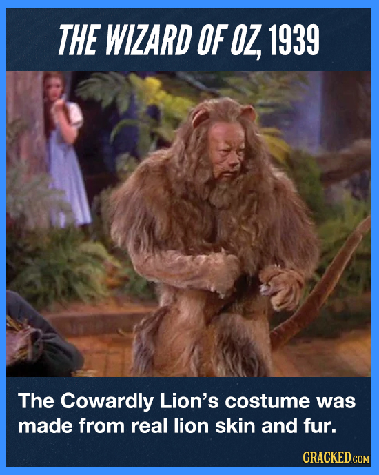 THE WIZARD OF OZ, 1939 The Cowardly Lion's costume was made from real lion skin and fur. CRACKED.COM