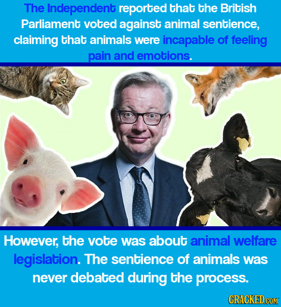 The Independent reported that the British Parliament voted against animal sentience, claiming that animals were incapable of feeling pain and emotions