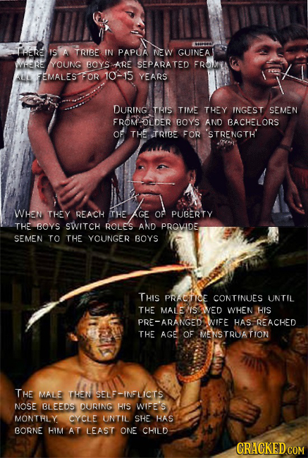 IHERE IS A TRIBE IN PAPUA NEW GUINEA WHERE YYOUNG BOYS ARE SEPARATED FRO ALL FEMALES FOR 10-15 YEARS DURING TRIS TIME THEY INGEST SEMEN ROMOLDER BOYS