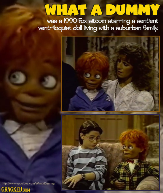 WHAT A DUMMY was a 1990 Fox sitcom starring a sentient ventriloquist doll living with a suburban family. http:/ww.epquides.com/hataDummyl