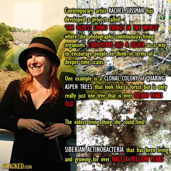 Contemporary artist RACHEL SUSSMAN has developed a project called 'THE OLDEST LIVING THINGS IN THE WORLD' where she photographs continuously living or