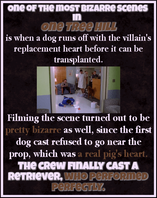 25 Movie Moments That Took Crazy Loads Of Work