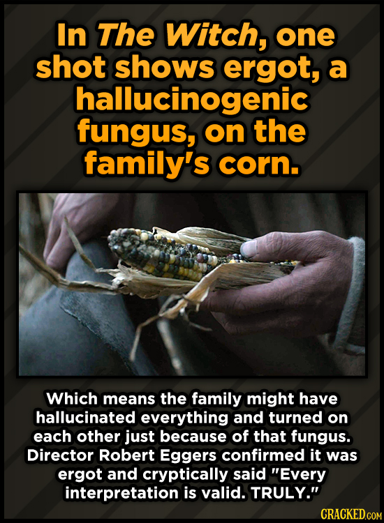 In The Witch, one shot shows ergot, a hallucinogenic fungus, on the family's corn. Which means the family might have hallucinated everything and turne