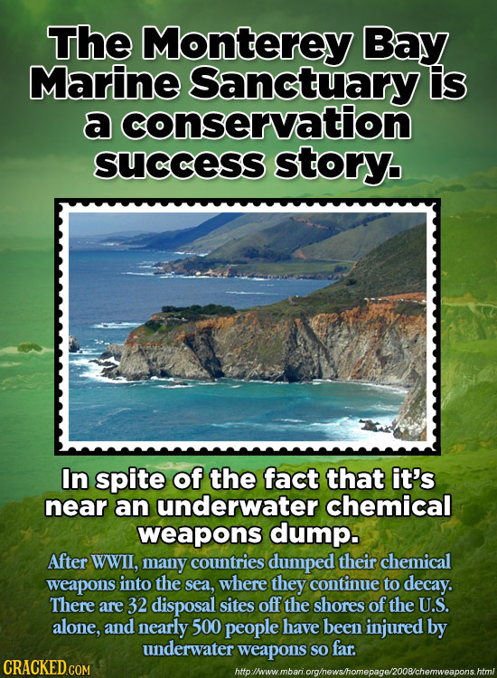 The Monterey Bay Marine Sanctuary Iis a conservation SUCCESS story. In spite of the fact that it's near an underwater chemical weapons dump. After WWi