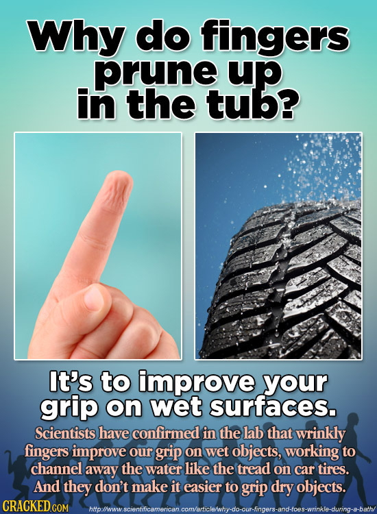 Why do fingers prune up in the tub? It's to improve your grip on wet surfaces. Scientists have confirmed in the lab that wrinkly fingers improve our g