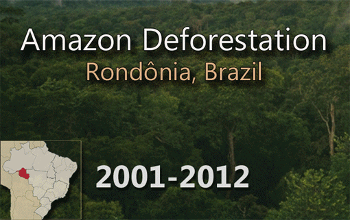 17 Insane Transformations You Have to See to Believe