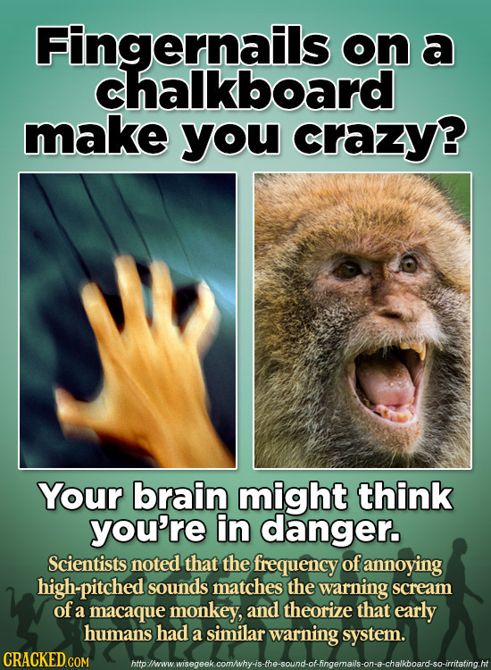 Fingernails on a chalkboard make you crazy? Your brain might think you're in danger. Scientists: noted that the frequency of annoying high-pitched sou