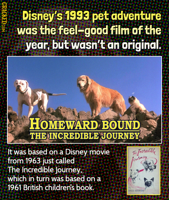 ND1C Disney's 1993 pet adventure was the feel' good film of the year, but wasn't an original. HOMEWARD, BOUND THE INCREDIBLE JOURNEY It was based on a