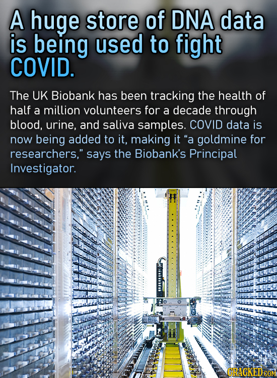 A huge store of DNA data is being used to fight COVID. The UK Biobank has been tracking the health of half a million volunteers for a decade through b
