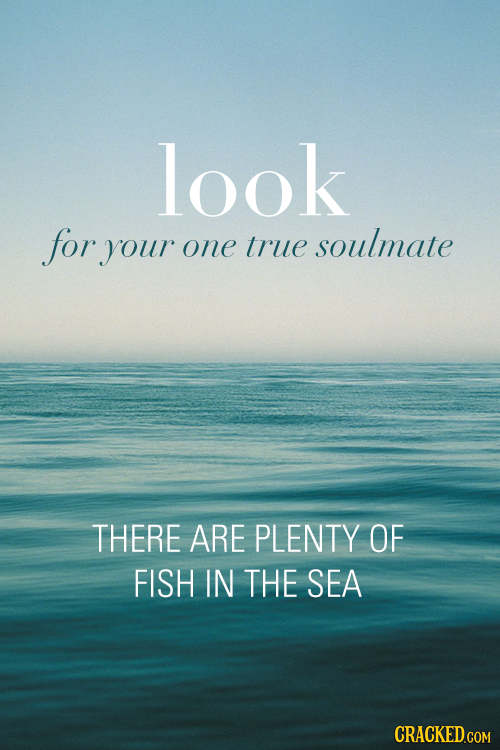 look for your one true soulmate THERE ARE PLENTY OF FISH IN THE SEA CRACKED.COM